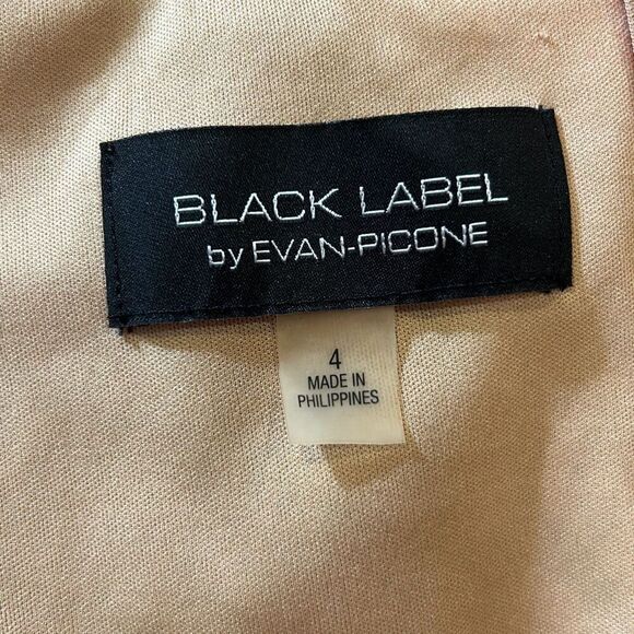 #450 black label Evan Picone, immediately orange/nude Lacey fit and flare size 4 - Picture 11 of 13